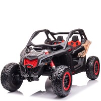 CAN-AM Maverick buggy 24V 2-Persoons Kinderauto Zwart