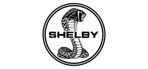 Shelby Kinderauto