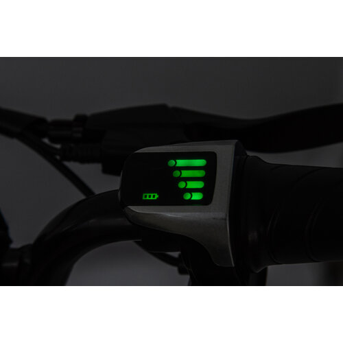 FINOOS Elektrische kindermotor Dirtbike Cross Motor 36V 500W Groen