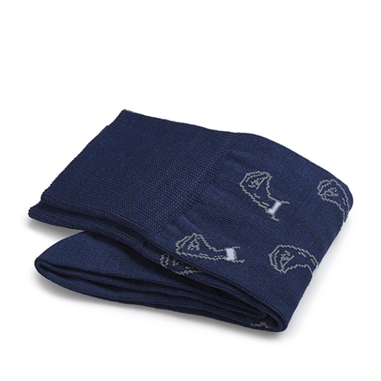 Carlo Lanza Royablue Italian sign socks