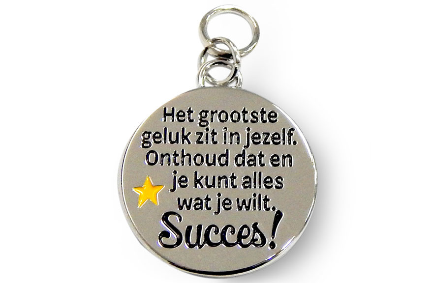 Charm for you - Succes