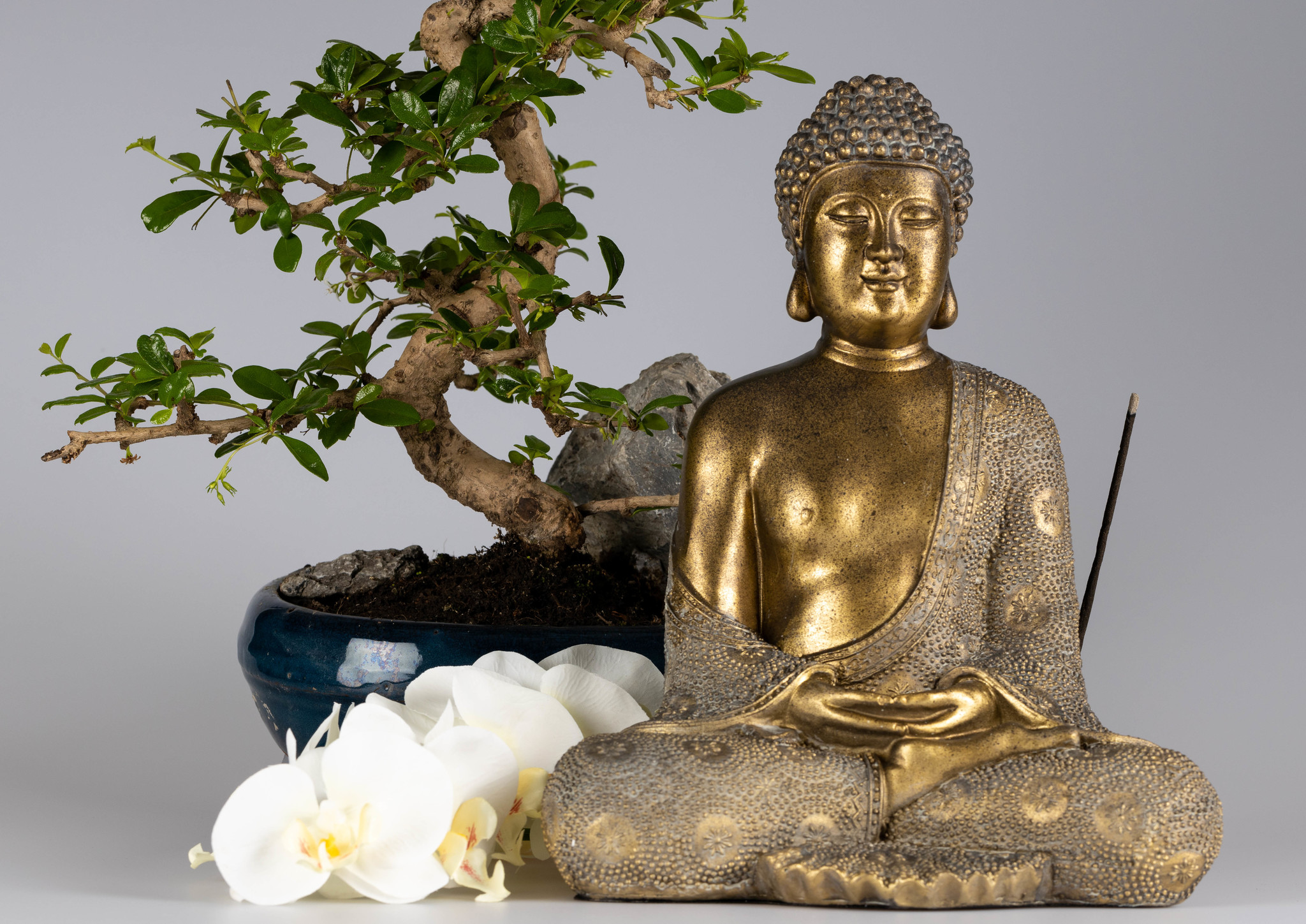 Afrika heks zoom Japanse Boeddha beeld 30 cm in bronzen kleur kopen? - Lucky Touch