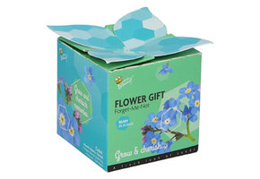 Vergeet me niet cadeautje