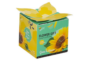 Ik zet je in het zonnetje cadeautje