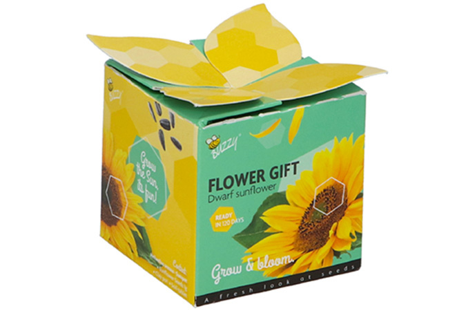 Ik zet je in het zonnetje cadeautje