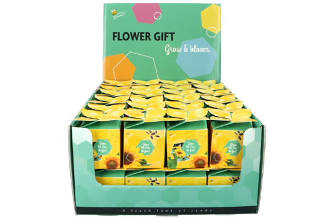 Ik zet je in het zonnetje cadeautje