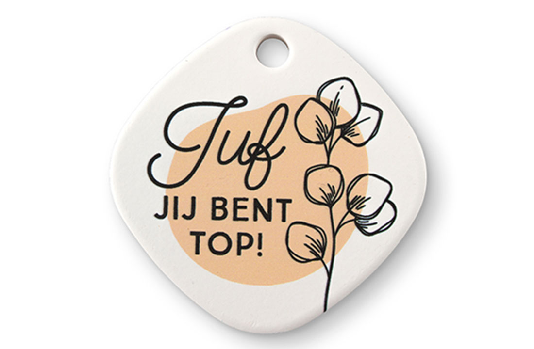 Magneet Juf