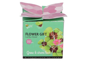 Klavertje 4 in potje