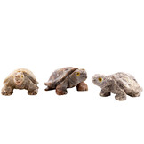 Gelukschildpad van edelsteen