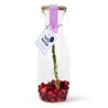 Pineut Pineut Tafelwater - Karaf - Kers Cranberry Rozemarijn Pineut Pineut Tafelwater - Karaf - Kers Cranberry Rozemarijn