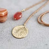 A Beautiful Story Sieraden a Beautiful Story Fairy Carneool Paardenbloem Goud Ketting A Beautiful Story Sieraden a Beautiful Story Fairy Carneool Paardenbloem Goud Ketting