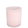 My Flame My Flame - luxe soja kaars Great Barrier Reef in glas 150 gr My Flame My Flame - luxe soja kaars Great Barrier Reef in glas 150 gr