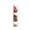 Arelo Thee Arelo - Chocolade Bikkels Arelo Thee Arelo - Chocolade Bikkels