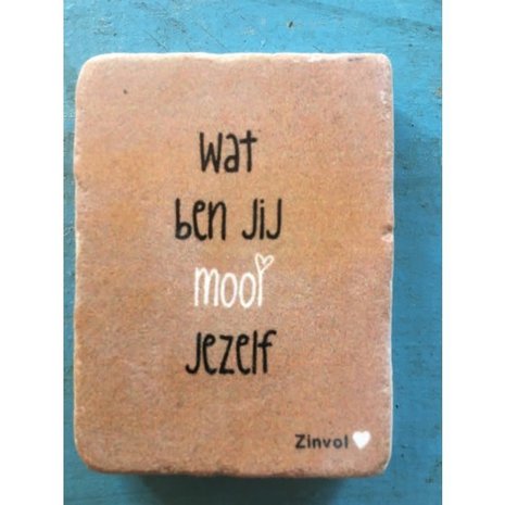 zinvol Zinvol - Steenmagneet -Wat ben jij mooi jezelf zinvol Zinvol - Steenmagneet -Wat ben jij mooi jezelf