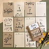 Bloom Bloom - Milestone Cards Bloom Bloom - Milestone Cards