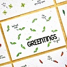 Bloom Bloom - Kaart Greetings - Bloeikaart Basil Bloom Bloom - Kaart Greetings - Bloeikaart Basil