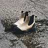 Woden Sneakers Woden Magda Track Waterproof - Mocha Woden Sneakers Woden Magda Track Waterproof - Mocha