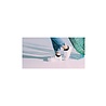 Healthy Seas Socks Healthy Seas Socks - Conger Sneaker Sokken Donker Blauw Healthy Seas Socks Healthy Seas Socks - Conger Sneaker Sokken Donker Blauw