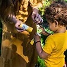 We love the planet We Love The Planet- Sunstick- SPF 20 We love the planet We Love The Planet- Sunstick- SPF 20