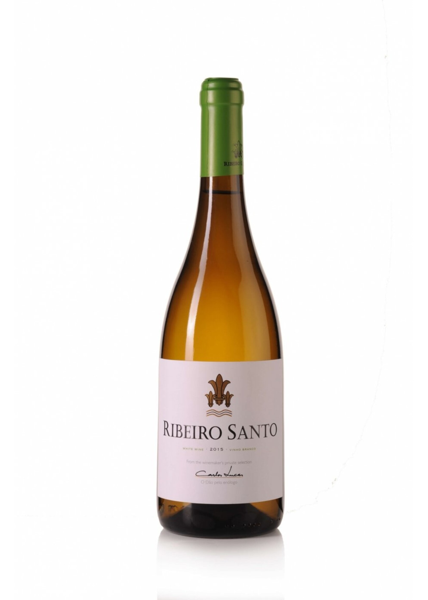 Quinta do Ribeiro Santo Carlos Lucas Ribeiro Santo