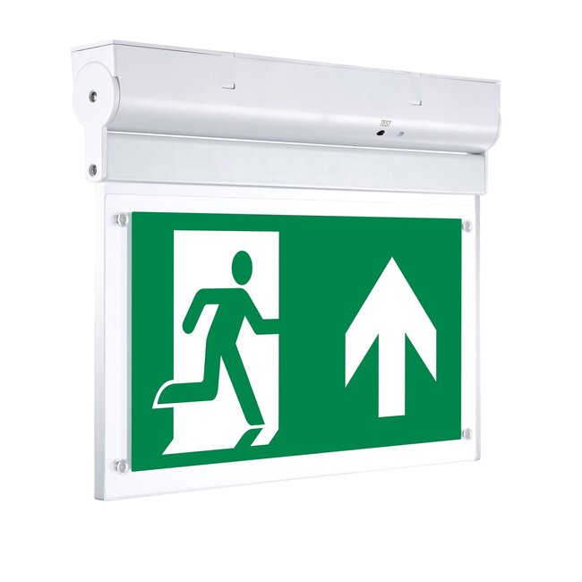 Surface-mounted emergency lighting on swivel OTG-FF