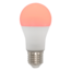 E27 intelligent dimmable RGB and CCT LED light bulb, 10W