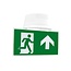 Recessed or surface-mounted emergency light LXL-MM