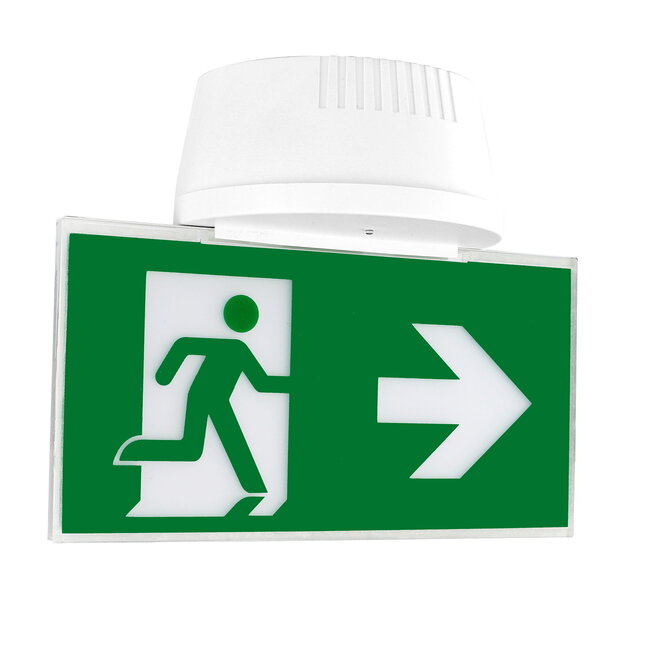 Recessed or surface-mounted emergency light LXL-MM