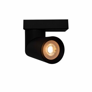 Industrial ceiling spotlight Eve - black