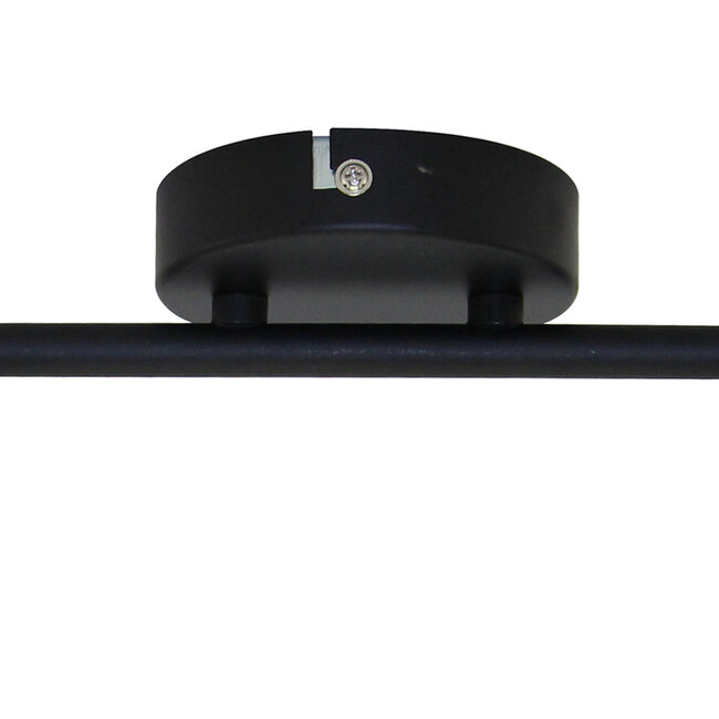 Modern 2-light ceiling lamp Mitch in black