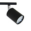 Modern 2-light ceiling lamp Mitch in black