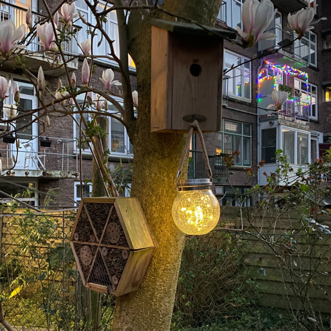 Decorative solar table lamp with cord - Isla