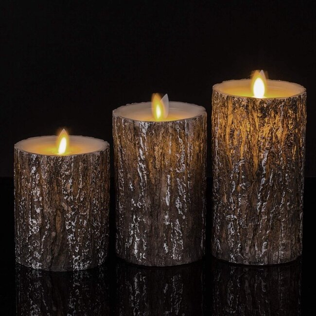 Candle set bark with remote control Arbor - Set of 3