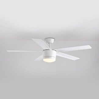 5-blade modern ceiling fan Rico incl. LED - white