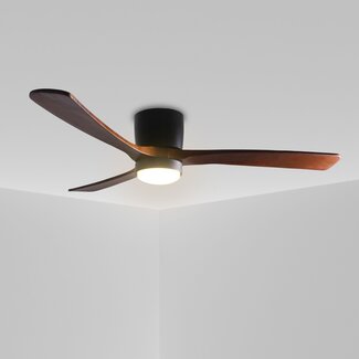 Ceiling fan with light Rani with oakwood blades and remote control