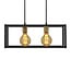 Modern 2-light pendant light Teun - black
