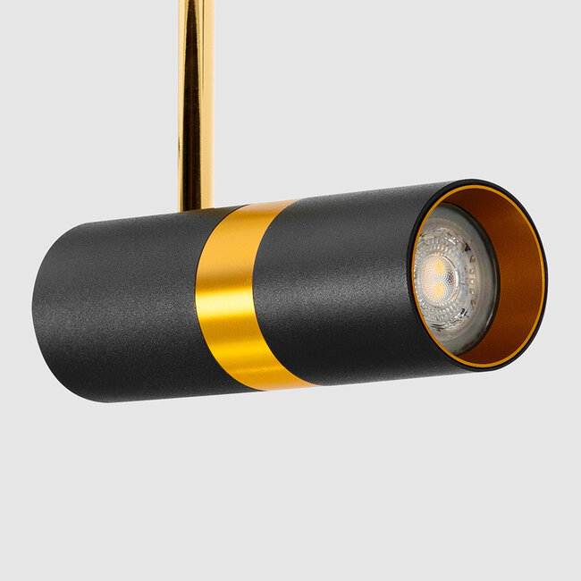 Track spotlights 1-phase Timeo