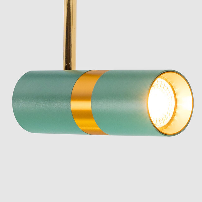 Track spotlights 1-phase Remi