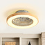 Ceiling fan Starry with adjustable color temperature and star effect in wood look