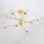 Gold ceiling light with transparent glass, 8-bulb - Idaho