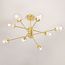 Gold ceiling light with transparent glass, 8-bulb - Idaho