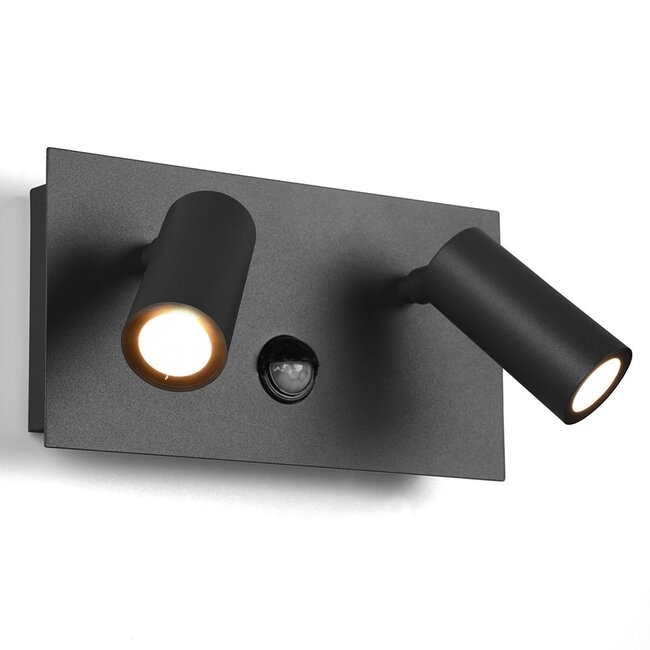 Outdoor wall light with 2 adjustable spotlights Filia - anthracite