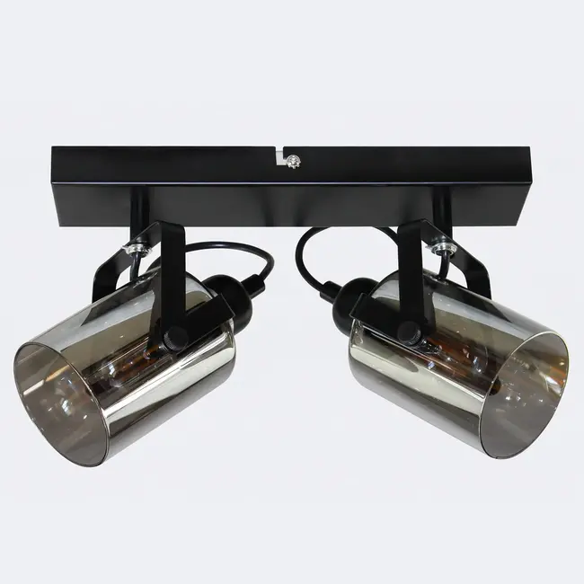 Ceiling light with smoked grey glass, 2-light - Ryan