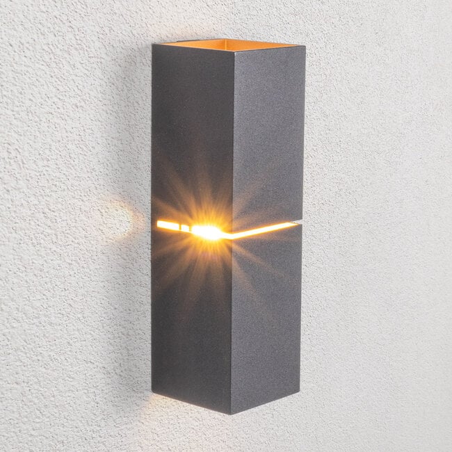 Modern wall lamp Zev in black and gold