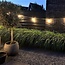 Festoon lights with LED frosted bulbs and white cable, 10m - 50m sets
