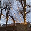 Festoon lights with 2.5W or 4.5W filament bulbs, 2200K-2700K, Ø45, dim-to-warm, 5m-100m sets