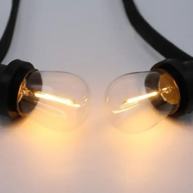 Set of festoon lights with 1-watt transparent glass filament bulbs - dimmable option (set)