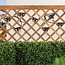 Solar string lights 50 metres with 50 or 60 double filament bulbs, 30W solar panel