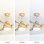 Ceiling fan Wieke with LEDs and adjustable colour temperature - wood look