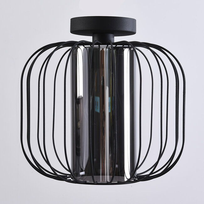 ceiling light Dide - smoked glass with metal slats